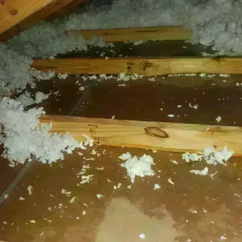 Attic Water Damage in Riley County, KS