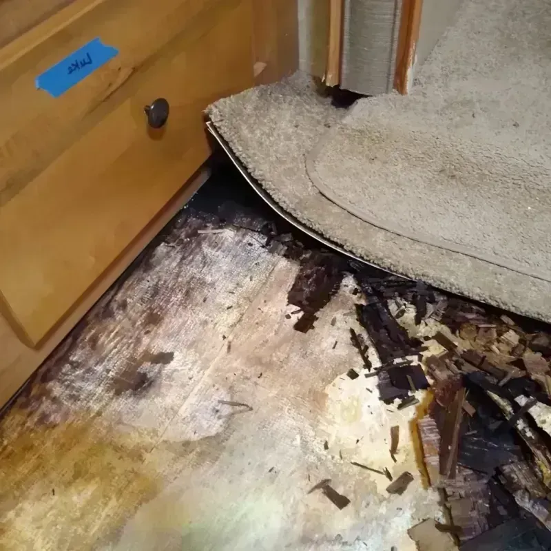 Wood Floor Water Damage in Riley County, KS